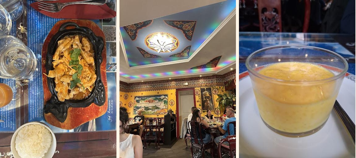 Yak - Gallery Image 1